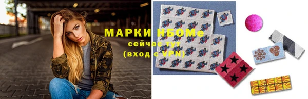 хмурый Алексин
