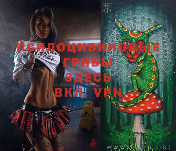 хмурый Алексин