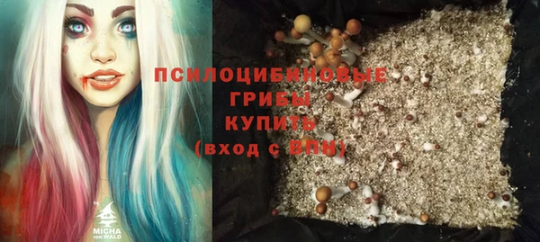 хмурый Алексин