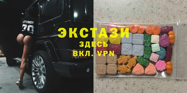 хмурый Алексин