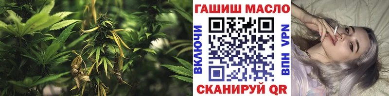 Дистиллят ТГК концентрат наркошоп Николаевск